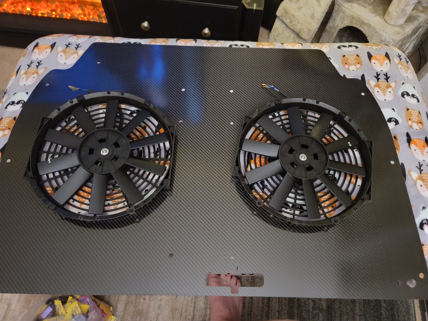 Customer photo review of Engine Lid Dual Fan Shroud (Forged Carbon Fiber/Mirror Finish/Carbon Fiber/Raw Aluminum)