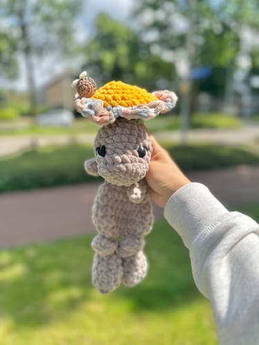 Customer photo review of Alize Velluto