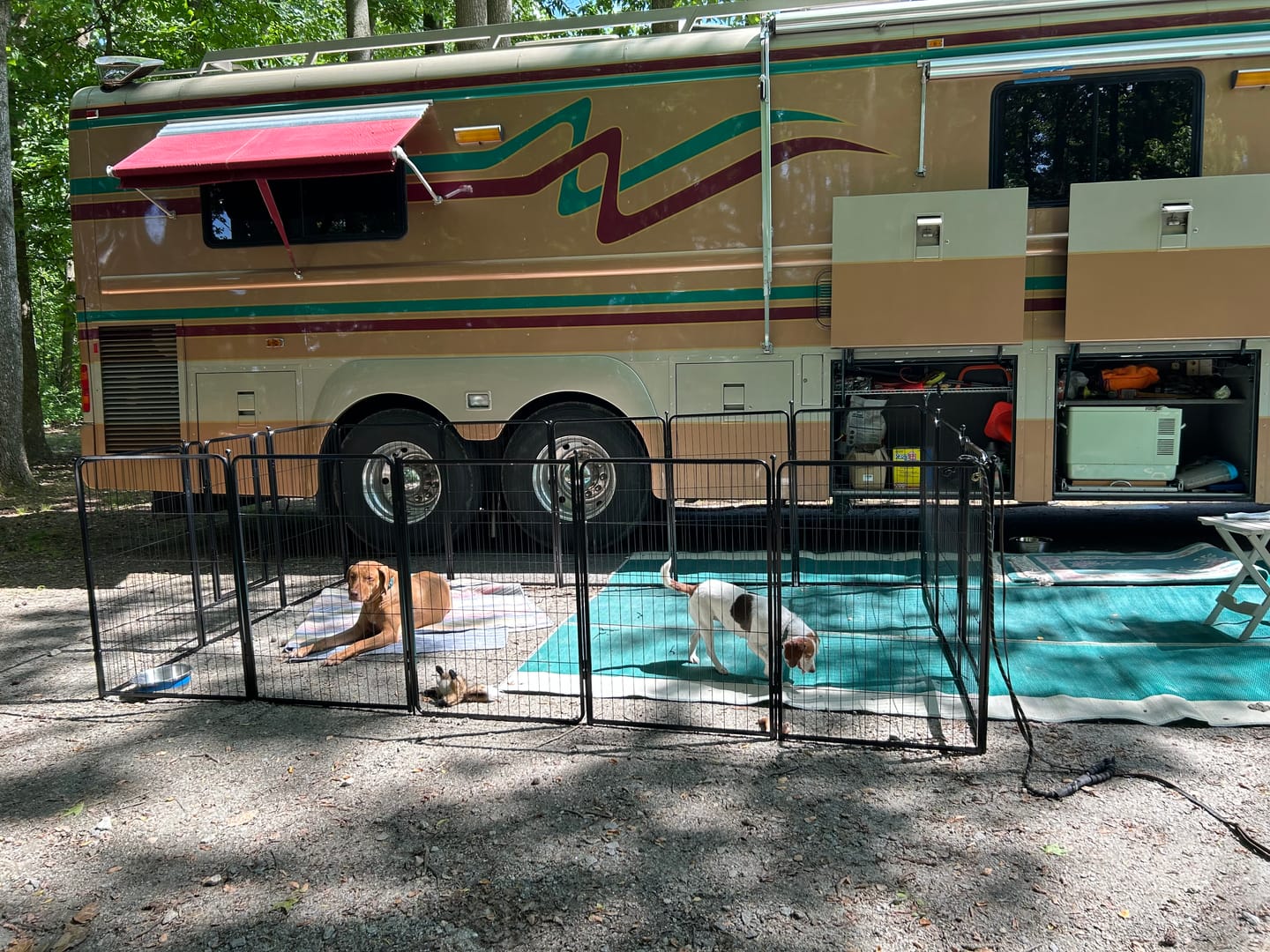 Customer photo review of Easy-Carry Straps for Carrying Your Dog Playpen