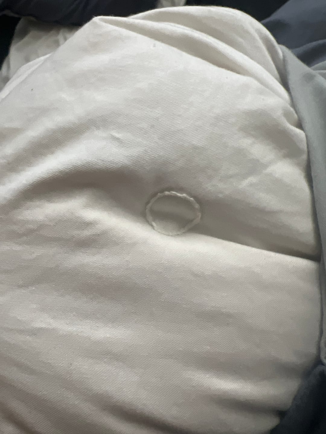 Customer photo review of Plumón Premium