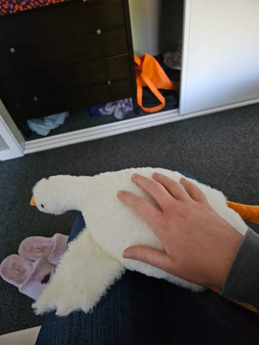 Customer photo review of Goose Plush Toy Pillow