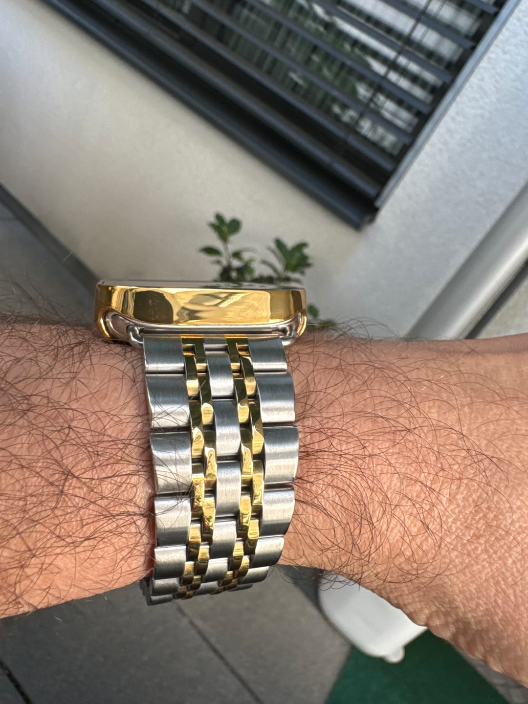 Customer photo review of Themis Stainless Band