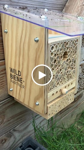 Customer video review of BeeSummer Set Observer
