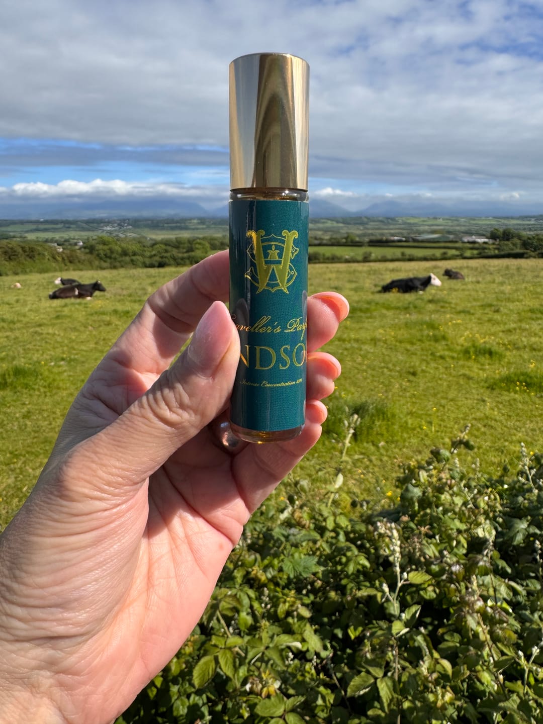 Customer photo review of Windsong