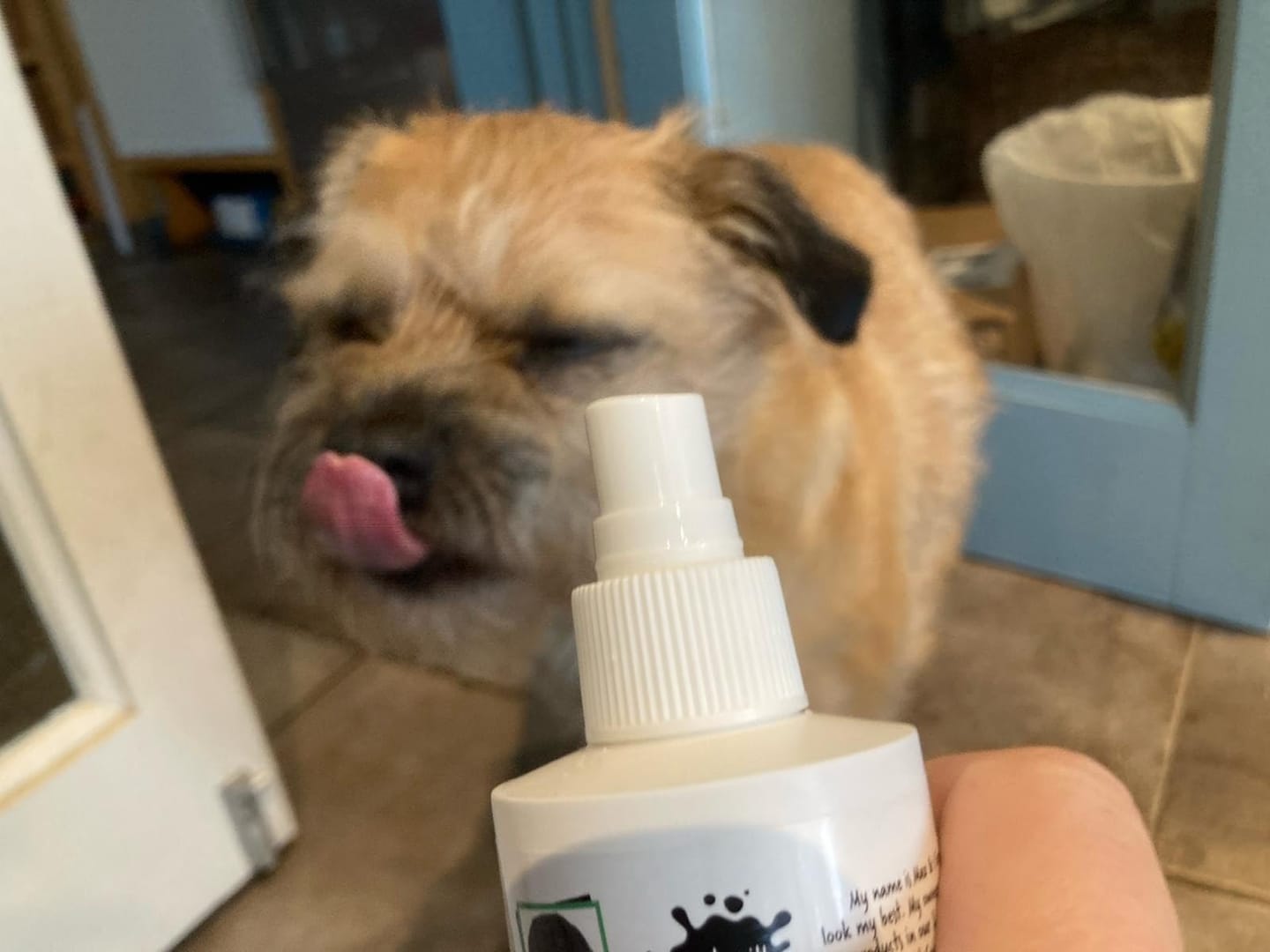 Customer photo review of Dental Care Spray