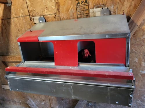 Customer photo review of Medium (34") Reversible Rollout Nest Box (Up to 32 Hens) - Ready to Ship!