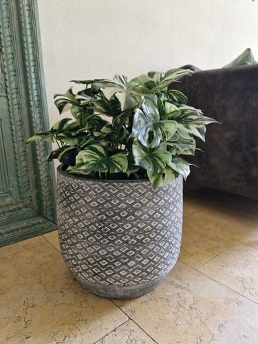 Customer photo review of Monstera Kunstplant 40cm