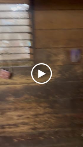 Customer video review of Hay Chix® Half Bale Net