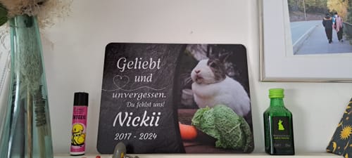 Customer photo review of Kaninchen Gedenktafel mit Foto & Spruch (UV- & Wetterfest)