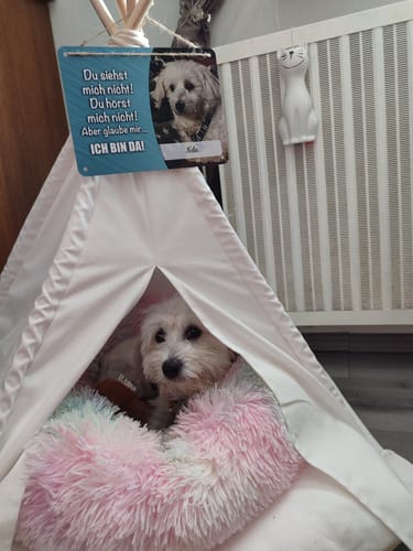 Customer photo review of Hunde-Türschild personalisiert mit Foto & Text (UV- und wetterfest)