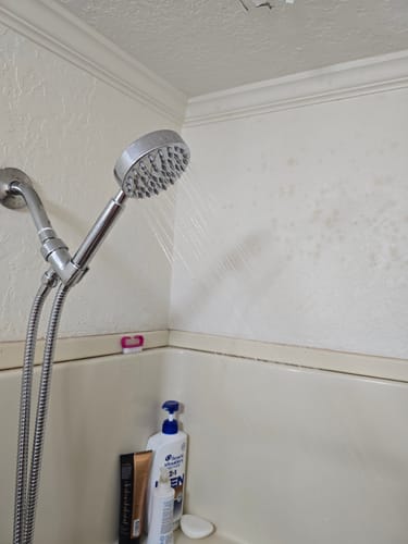 Customer photo review of 1-Spray Handheld Shower Head Set
