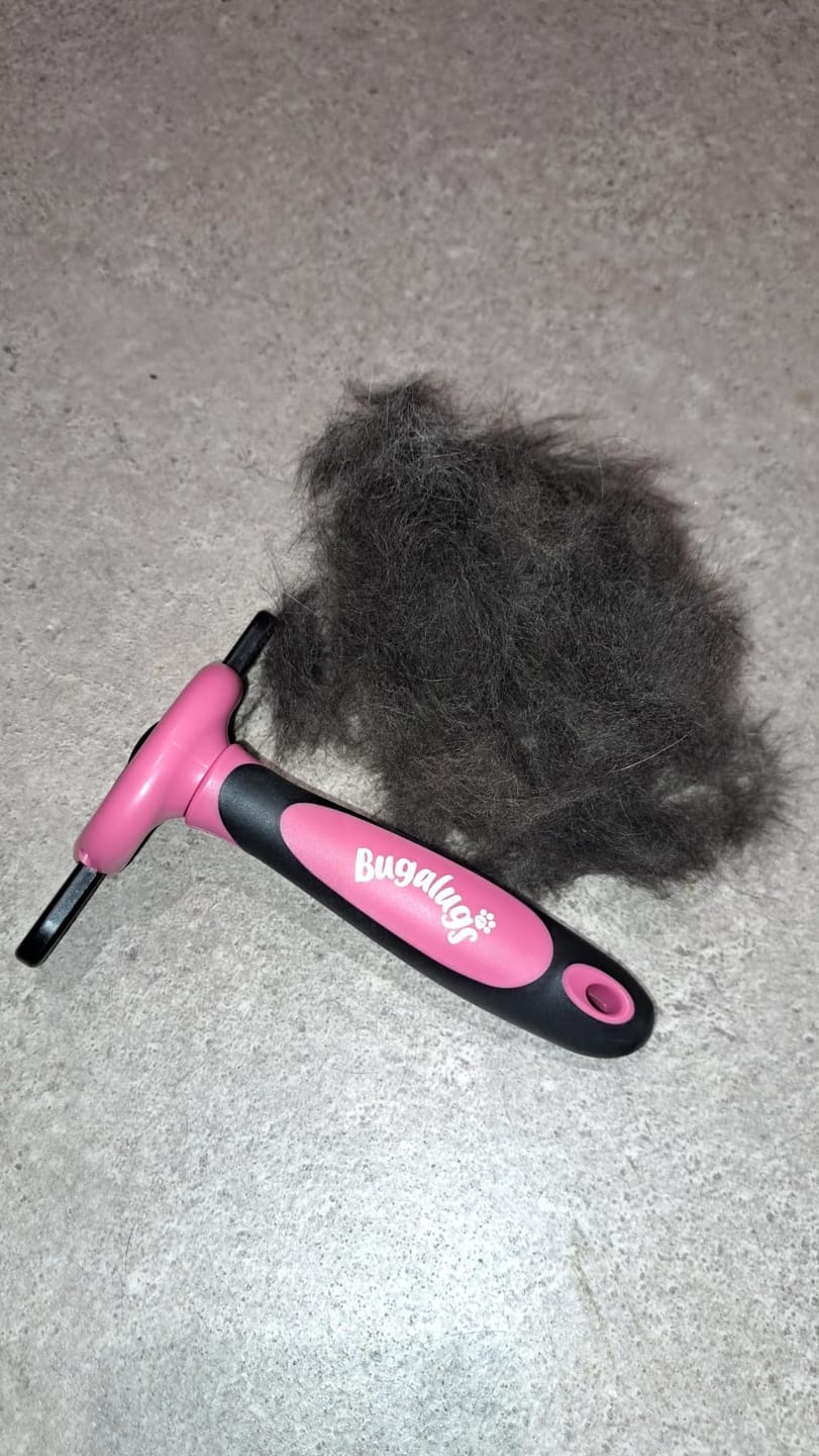 Customer photo review of Deshedding Comb