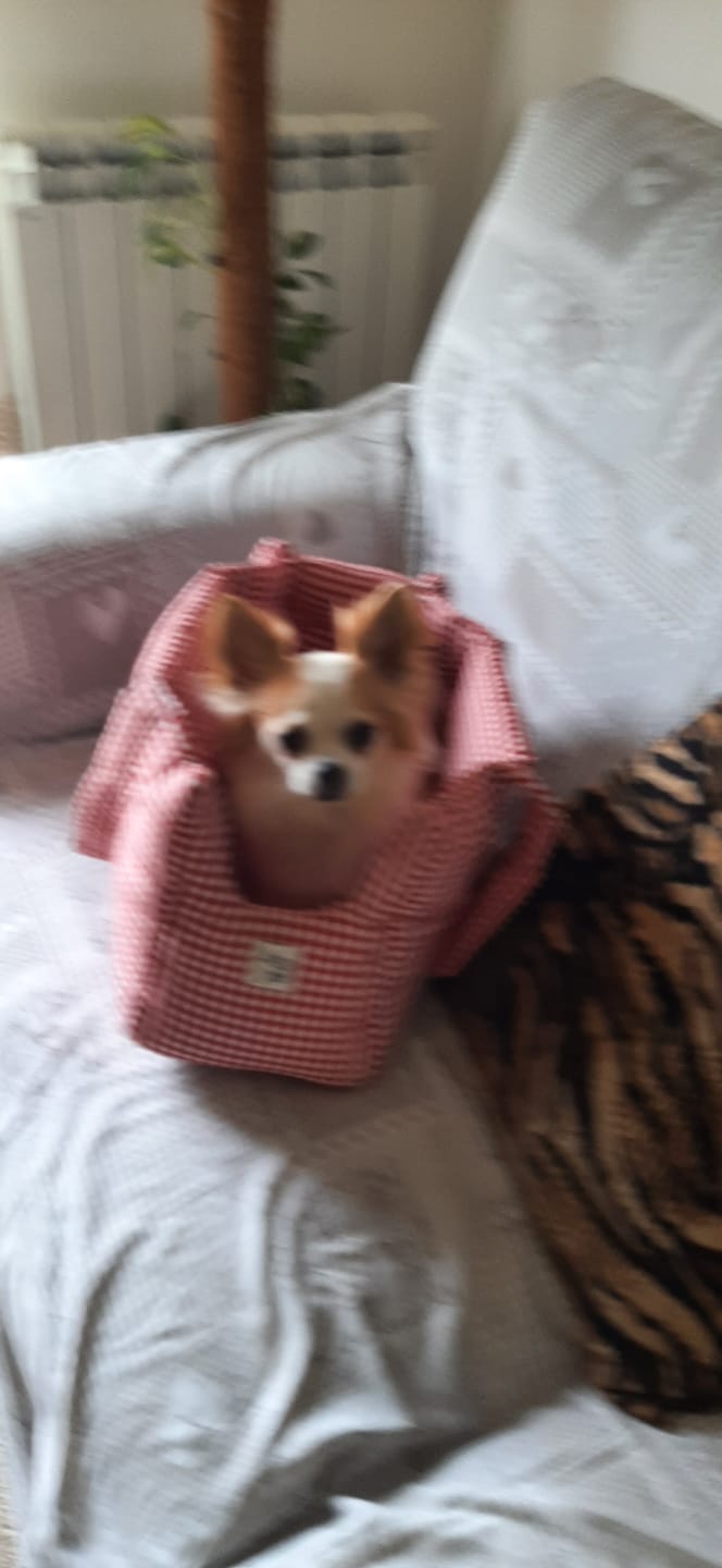Customer photo review of Trasportino Cotone Vichy Verde Chiaro