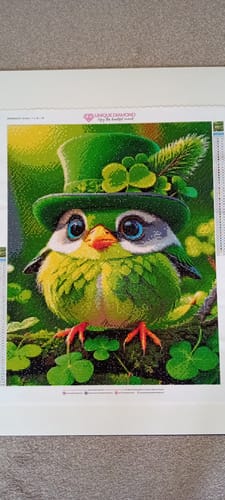 Customer photo review of 5D Diamond Painting AB Steine Green Bird