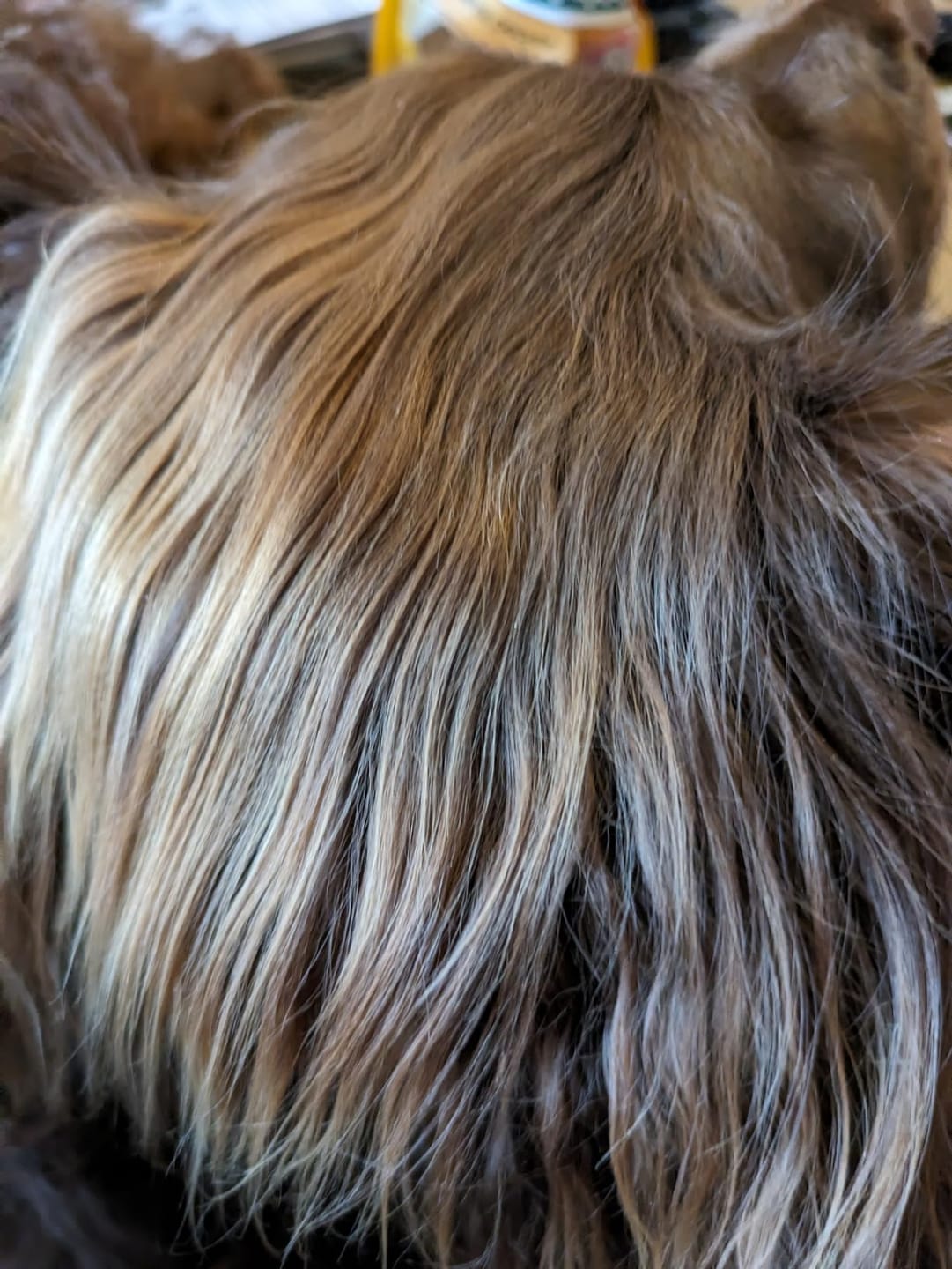 Customer photo review of Deshedding Comb