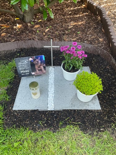 Customer photo review of Katzen Gedenktafel mit Foto & Spruch (UV- & Wetterfest)