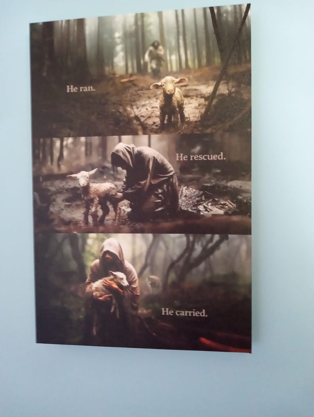 Customer photo review of He Ran, He Rescued, He Carried, Jesus and Lost Sheep, Wall Art Canvas