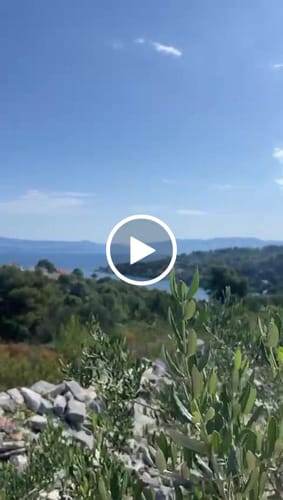 Customer video review of Zapestnica: Nodum