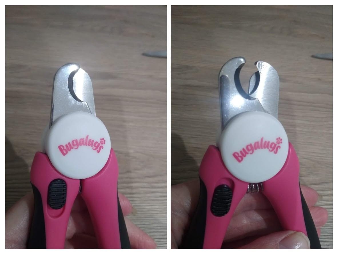 Customer photo review of Nail Clippers (Medium – Large)