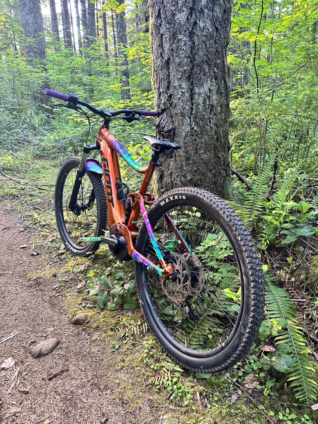 Customer photo review of Oil Slick Frame Keeper