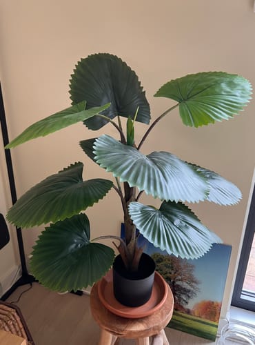 Customer photo review of Kunst Waaierpalm 90cm