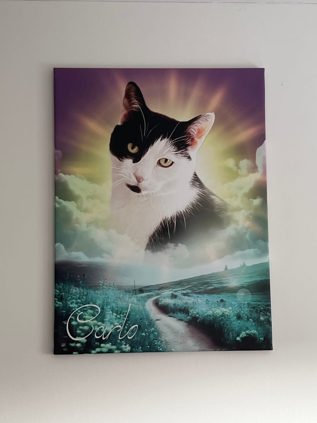 Customer photo review of Personalisiertes Portrait - Sonnen Stil