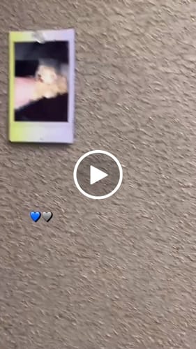 Customer video review of Custom Pet Metal Portrait