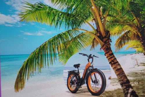 Customer photo review of Lankeleisi MG600 Plus 1000W Bafang Motor 26" Fat Bike All Terrain SUV E-Bike 48V 20Ah Samsung Battery [Pre-Order]