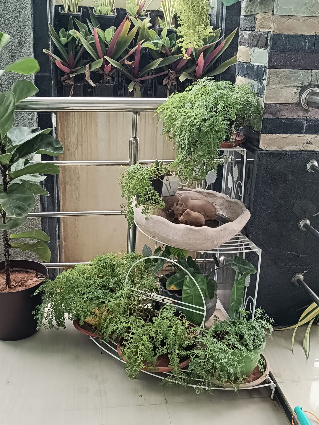 Customer photo review of 3 Tier Plant Stand Floral Corner Shelf Metal Flower Pot