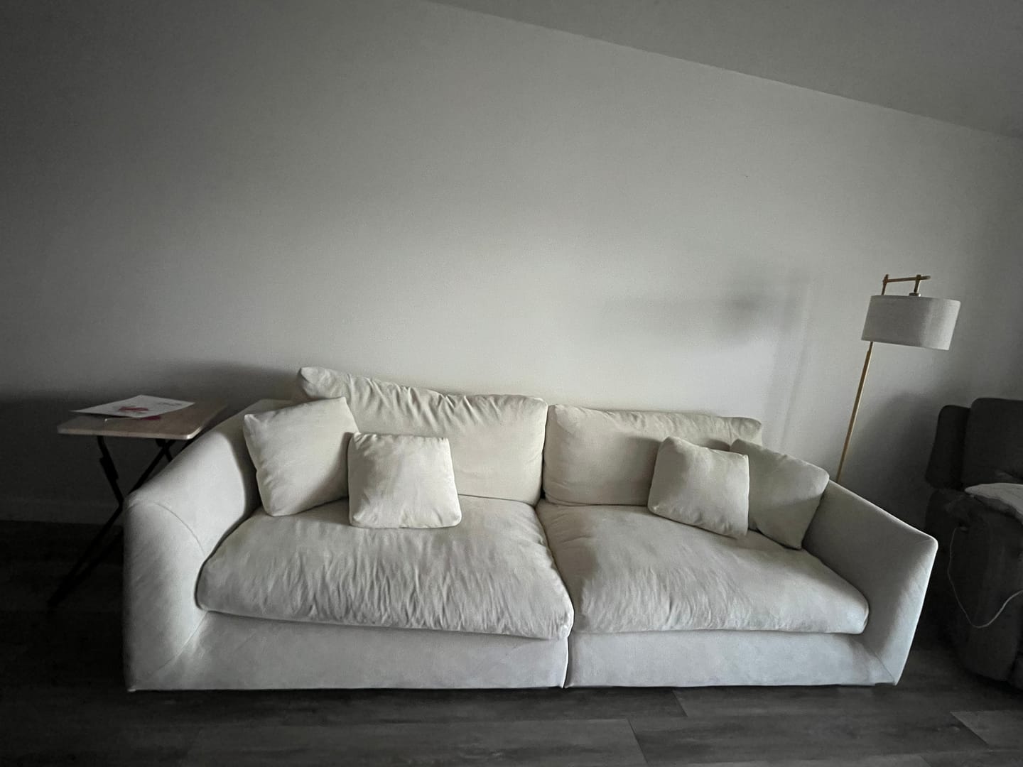 Customer photo review of Feathers Sofa