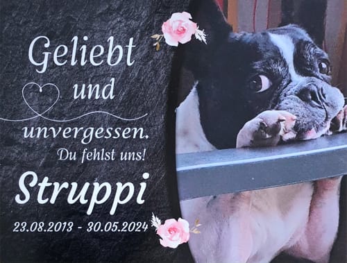Customer photo review of Hunde Gedenktafel mit Foto & Spruch (UV- & Wetterfest)