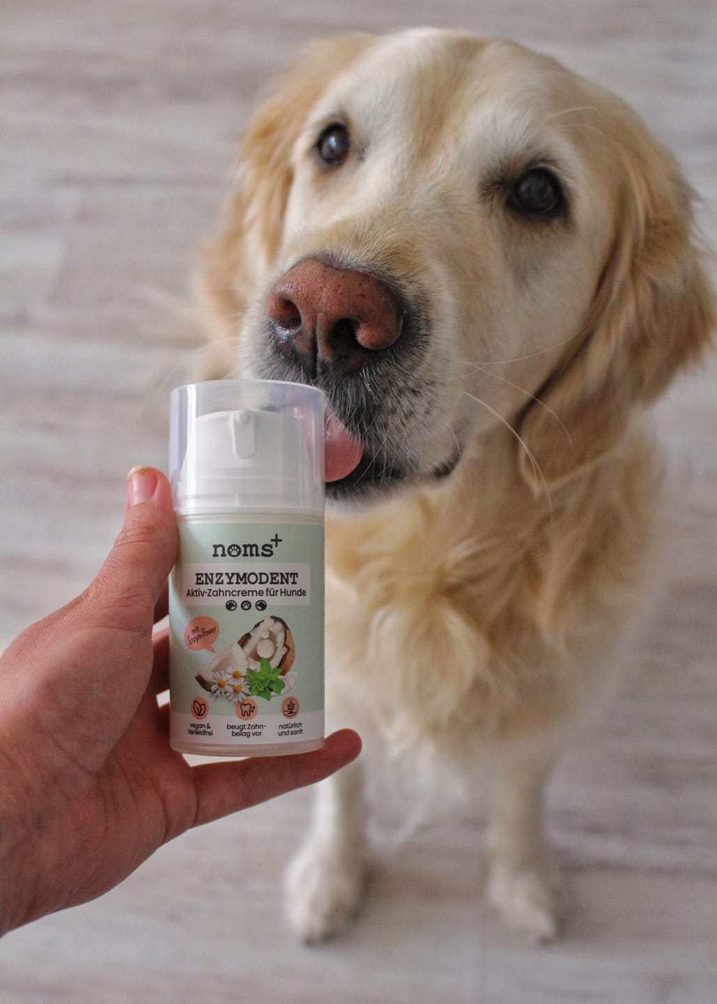 Customer photo review of Enzymodent: Enzymatische Zahnpasta für Hunde mit natürlicher Pflege- und Präventionsformel