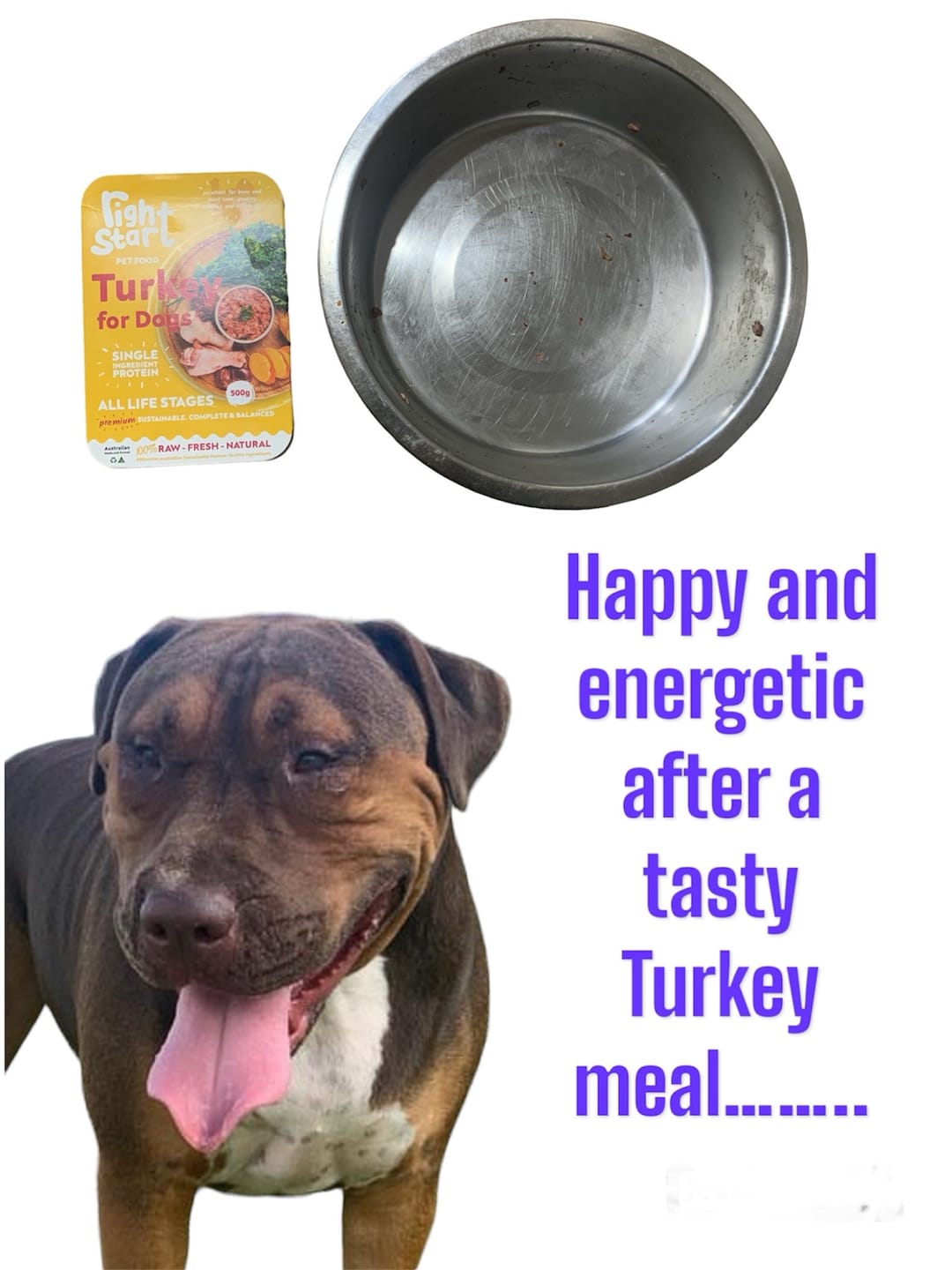 Customer photo review of Turkey for Dogs