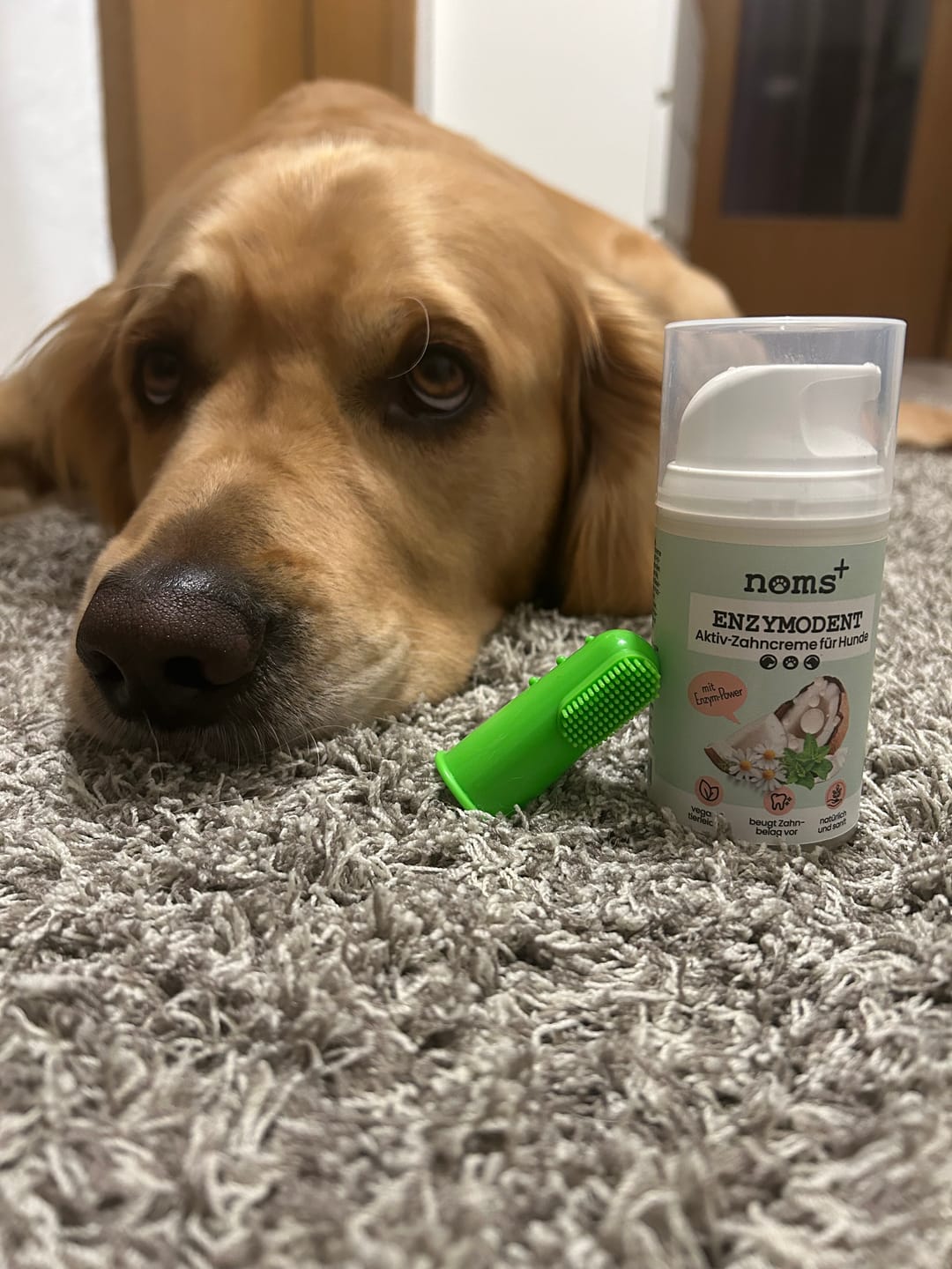 Customer photo review of Enzymodent: Enzymatische Zahnpasta für Hunde mit natürlicher Pflege- und Präventionsformel