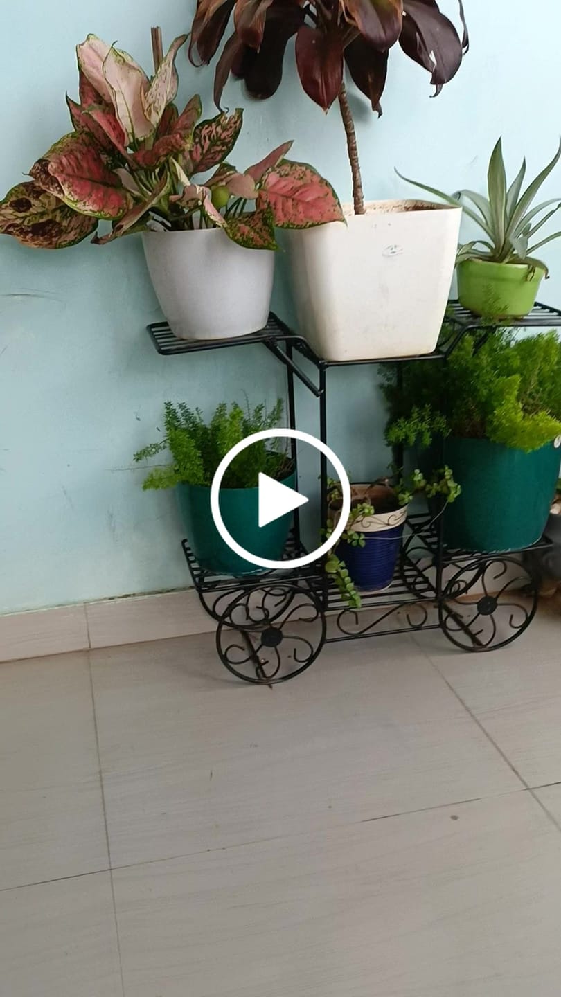 Customer video review of 6-Tier Cart Planter Stand, Outdoor Flower Rack