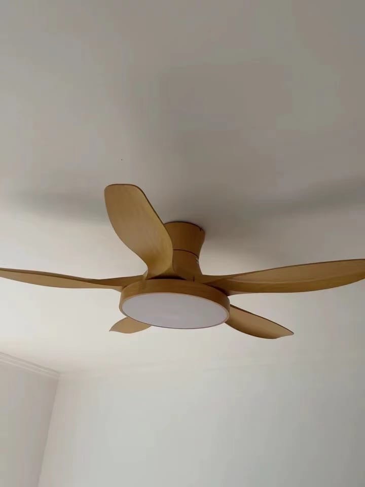 Customer photo review of WOMO Scandi Reversible Ceiling Fan with Light-WM5002