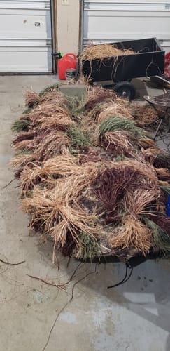 Customer photo review of Hunting Blind Raffia Grass (Individual)