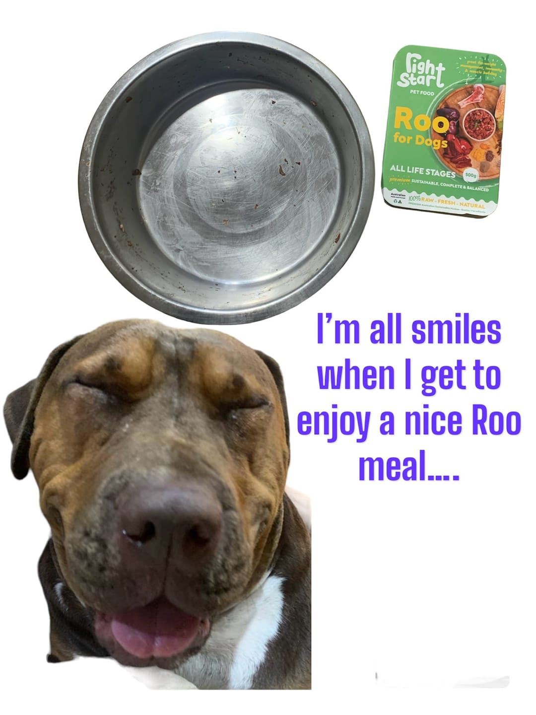 Customer photo review of Roo For Dogs