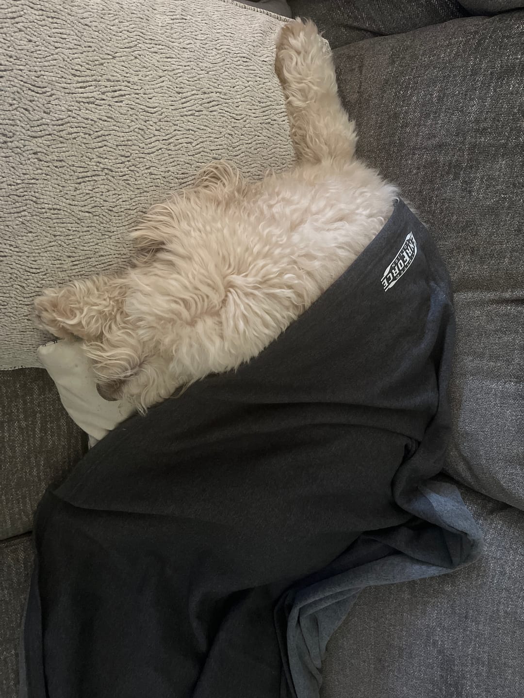 Customer photo review of XL Cozy Blanket