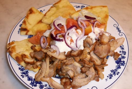 Customer photo review of Traditional Greek Pita Bread – 10 Soft Rounds (16 cm) | Vegetarian-Friendly