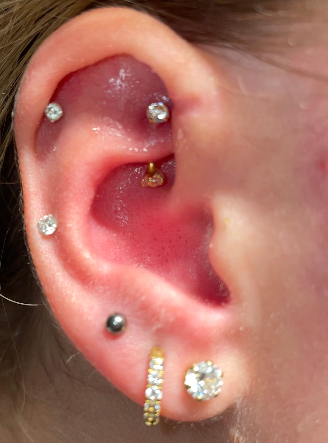 Customer photo review of Britney Rook Piercing | Titan
