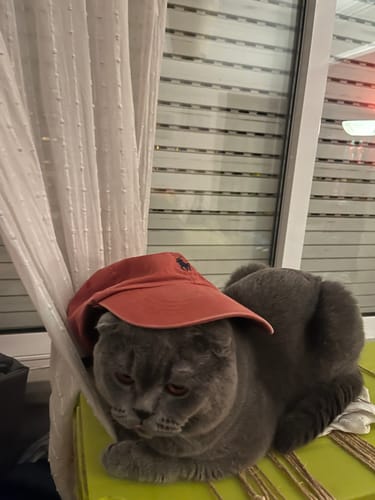 Customer photo review of Polo Ralph Lauren Vintage Cap (ONE SIZE)