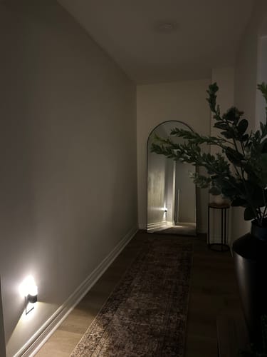 Customer photo review of Black Full Length Arch Mirror (71"H x 31"W)
