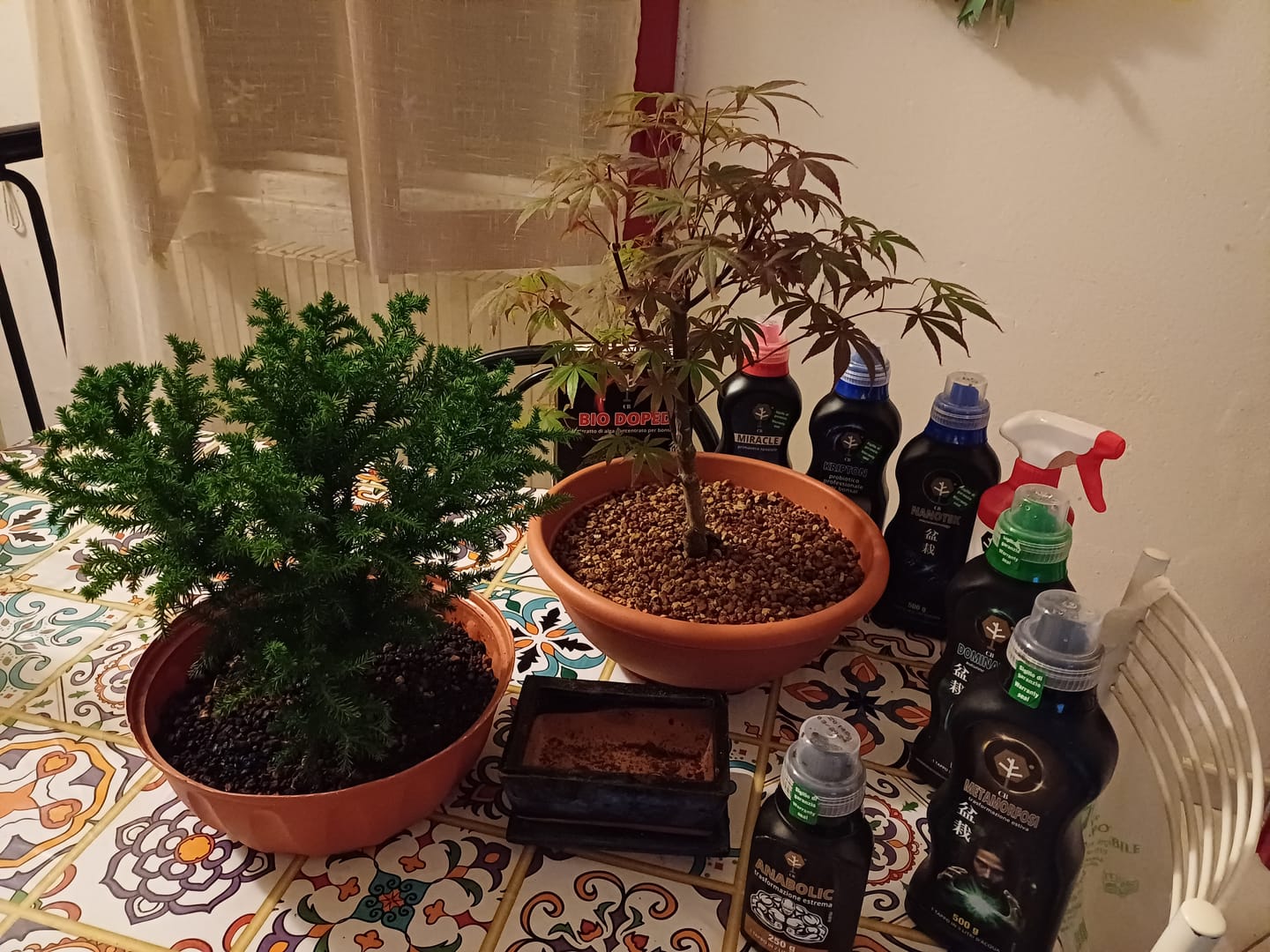 Customer photo review of TESTOSTERONE PACK CB®