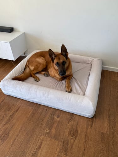 Customer photo review of Orthopedic Memory Foam Dog Bed