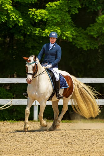 Customer photo review of Lily multi bridle