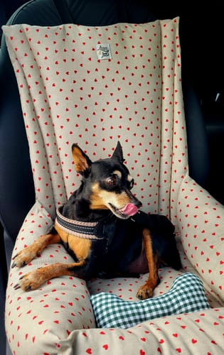 Customer photo review of Seggiolino Auto Little Love Heart