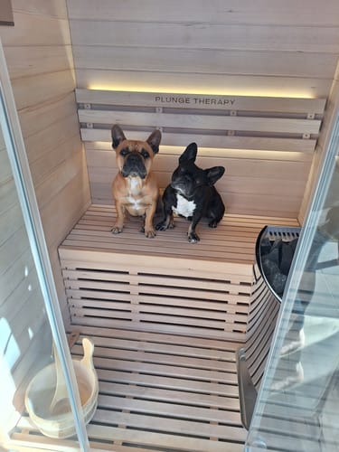 Customer photo review of 2 Person Traditional Sauna - 4.5kw Harvia Heater