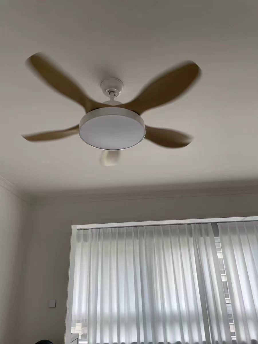 Customer photo review of WOMO Scandi Reversible Ceiling Fan with Light-WM5002