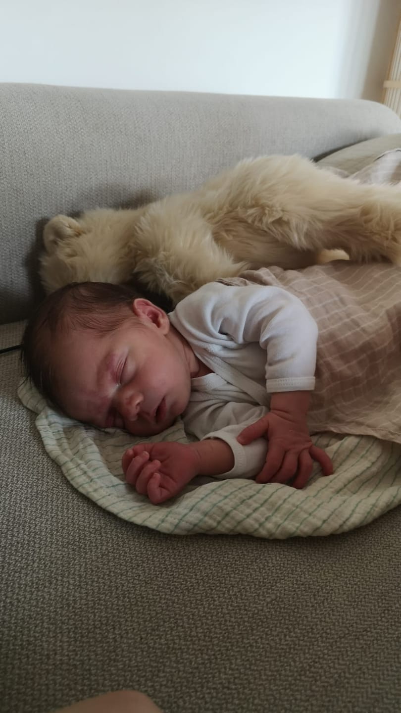 Customer photo review of Ma peluche Ours Jules